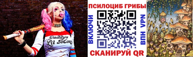 блэк спрут вход  Ростов  Галлюциногенные грибы MAGIC MUSHROOMS  где купить наркоту 